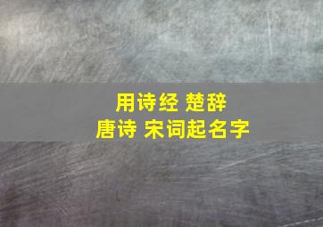 用诗经 楚辞 唐诗 宋词起名字